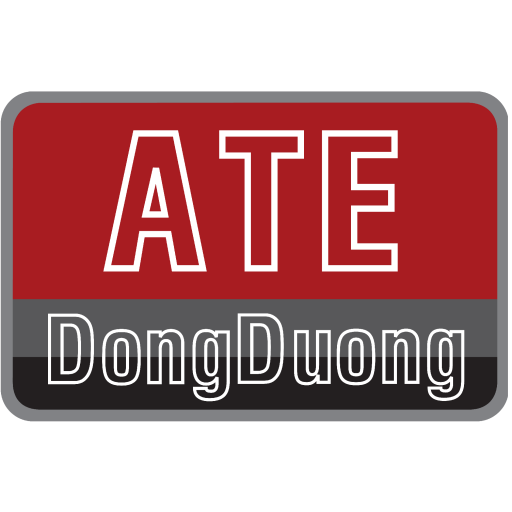 diencn.com